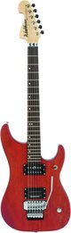 Washburn N2